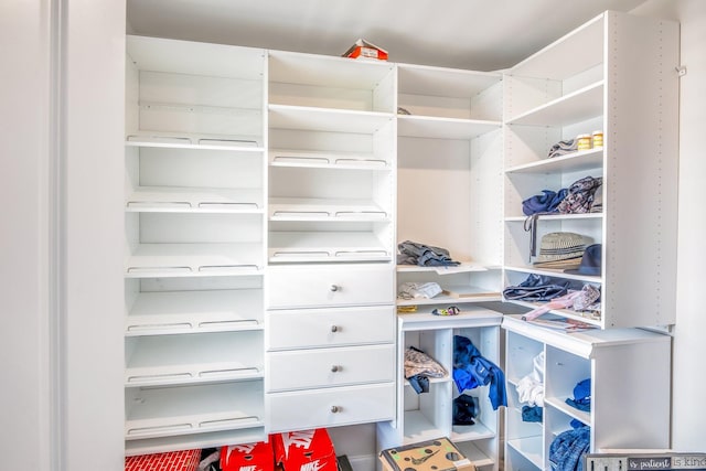 view of spacious closet