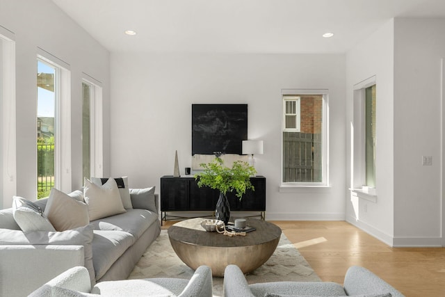 living room with light hardwood / wood-style floors