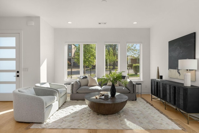 living room featuring light hardwood / wood-style flooring