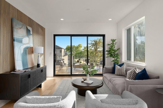 living room with light hardwood / wood-style flooring