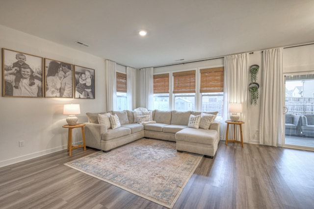 living room with hardwood / wood-style floors and a wealth of natural light