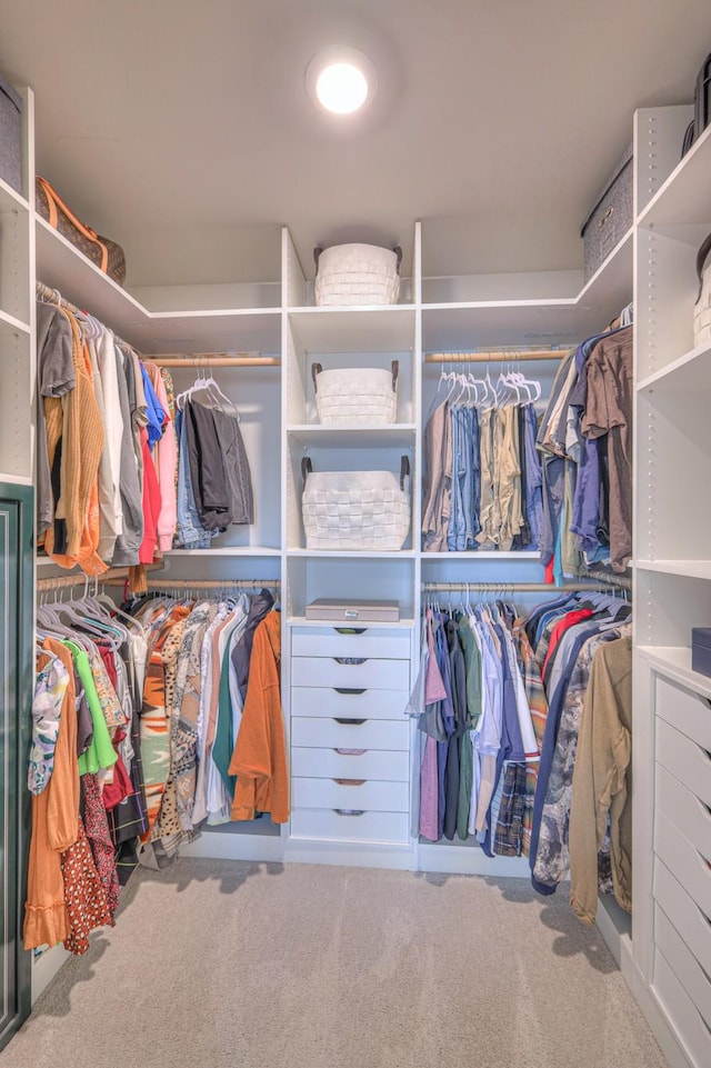 spacious closet featuring carpet