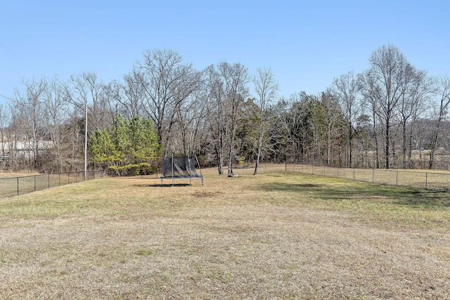 view of yard with a trampoline