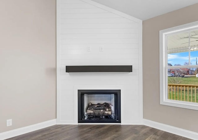 room details featuring wood-type flooring and a fireplace