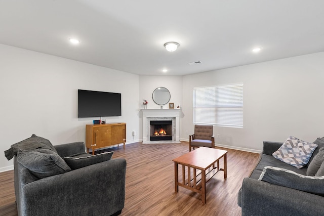 living room featuring a fireplace and hardwood / wood-style floors