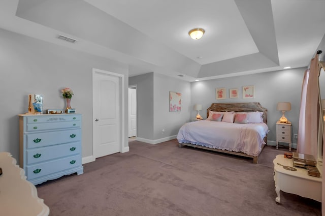 carpeted bedroom with a raised ceiling