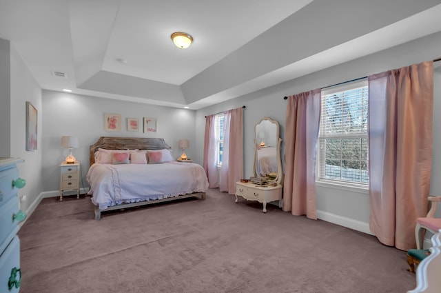 bedroom featuring multiple windows, a tray ceiling, and carpet floors