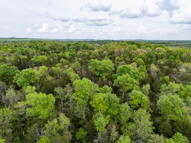 0 Kedron Rd Unit 2, Spring Hill, TN 37174