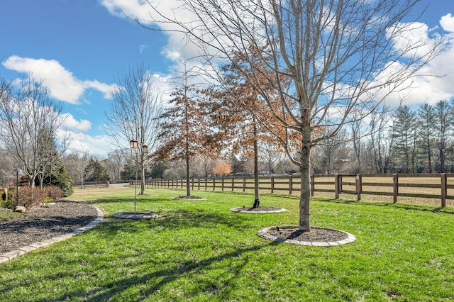 view of yard featuring a rural view