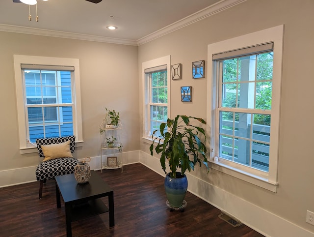 sitting room featuring a wealth of natural light, ornamental molding, dark hardwood / wood-style floors, and ceiling fan