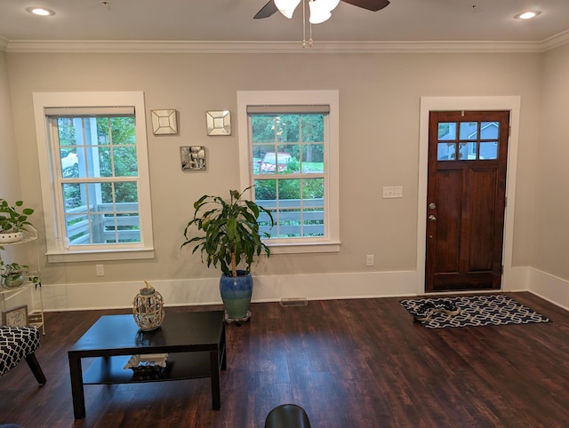 foyer entrance with dark wood-type flooring, ornamental molding, and a healthy amount of sunlight