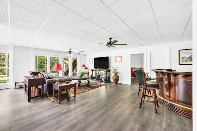 living room with wood-type flooring, a healthy amount of sunlight, a paneled ceiling, and bar area