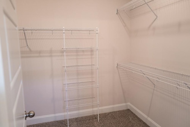 spacious closet featuring carpet