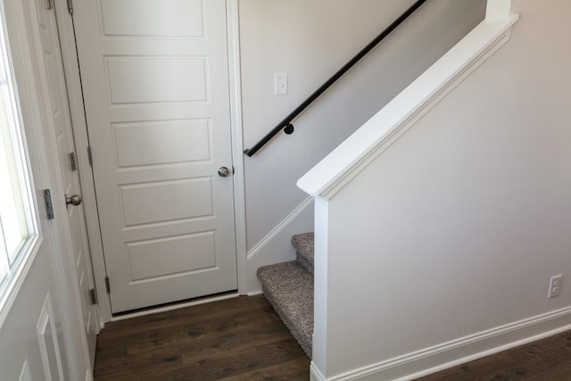 stairway with hardwood / wood-style flooring