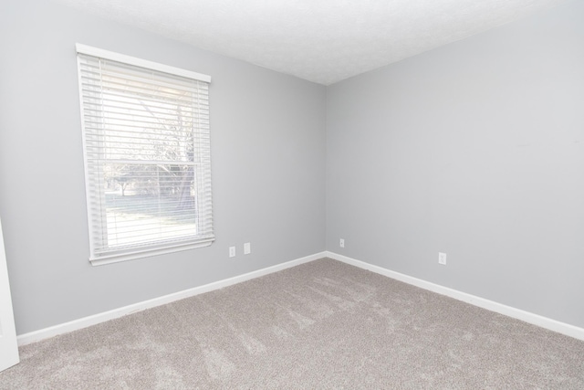 spare room featuring carpet flooring and a textured ceiling