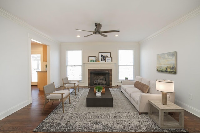 living room with crown molding, a fireplace, dark hardwood / wood-style floors, and a healthy amount of sunlight