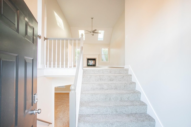 staircase featuring ceiling fan and carpet