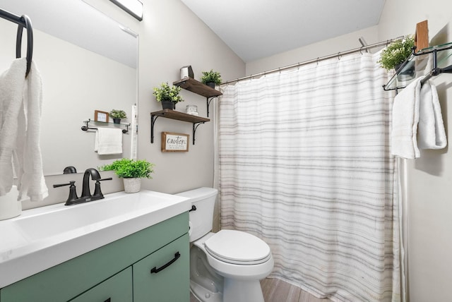 bathroom featuring vanity, toilet, and a shower with shower curtain