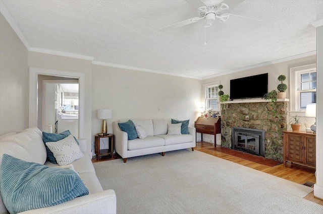 living room with a fireplace, light hardwood / wood-style floors, and a healthy amount of sunlight