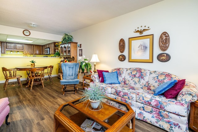 living room featuring dark hardwood / wood-style flooring