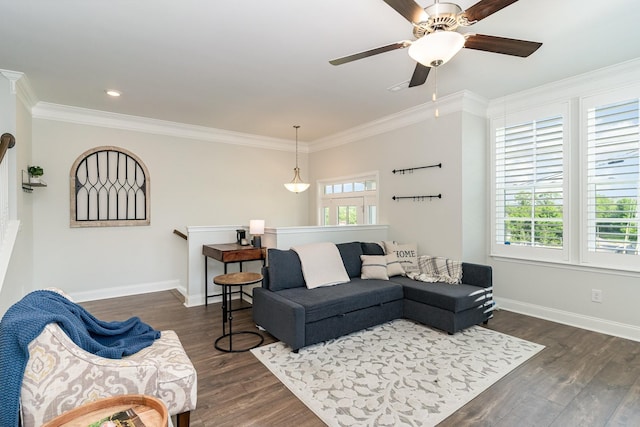 living room featuring crown molding, a wealth of natural light, and dark hardwood / wood-style floors