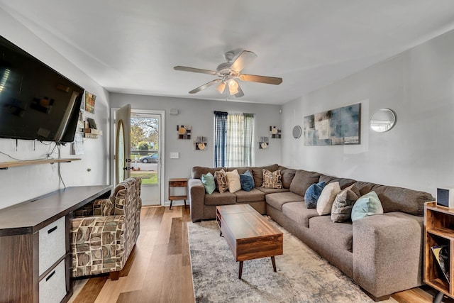 living room with ceiling fan and light wood-type flooring