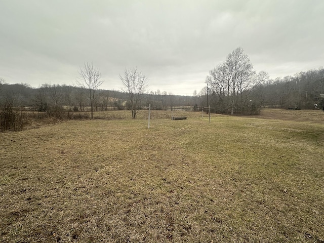 view of yard featuring a rural view