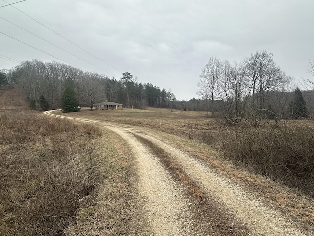 view of road with a rural view