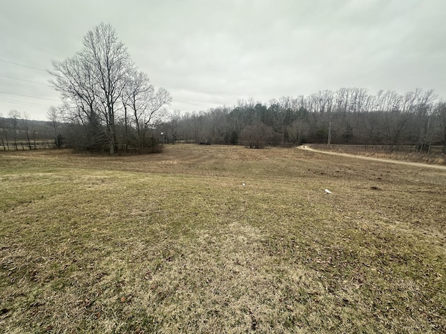 view of yard featuring a rural view