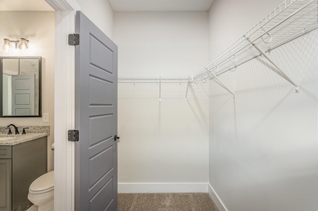 walk in closet featuring carpet and a sink