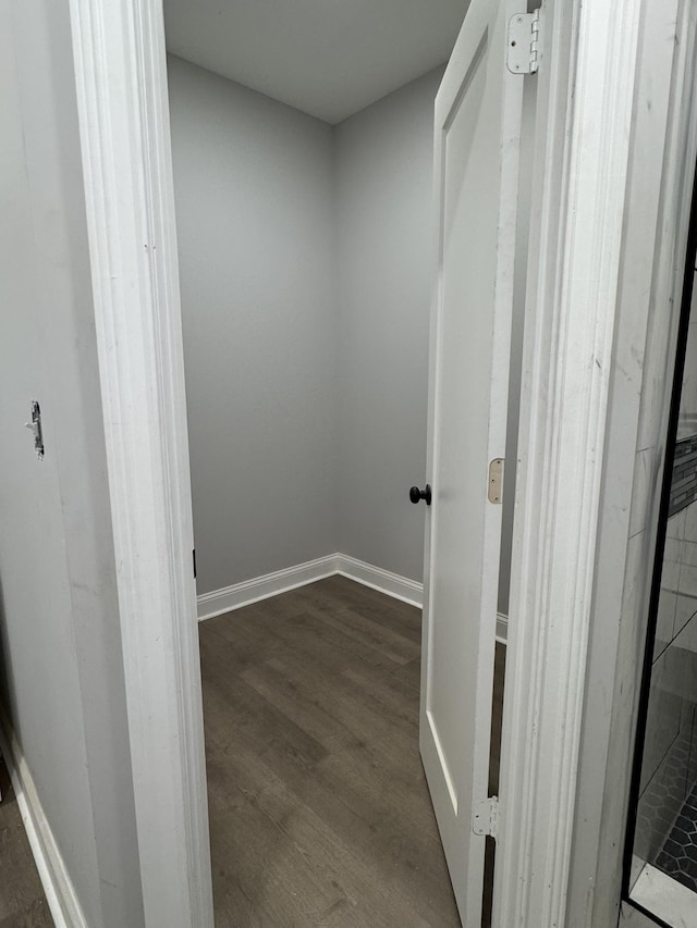 walk in closet featuring dark wood-type flooring