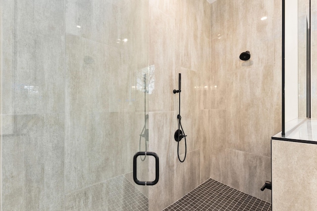 bathroom featuring a shower with shower door