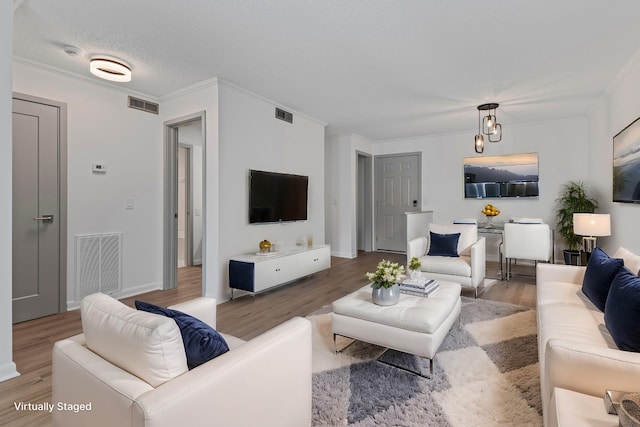 living room with crown molding, wood-type flooring, and a textured ceiling