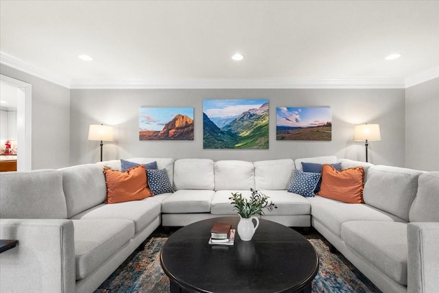 living room featuring crown molding and dark hardwood / wood-style flooring