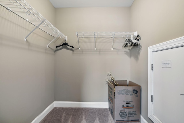 spacious closet featuring carpet