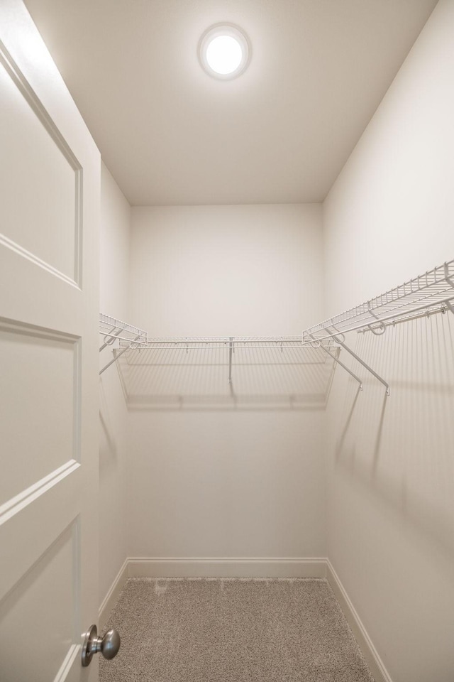 walk in closet featuring carpet flooring