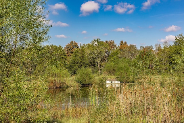 view of landscape featuring a water view and a view of trees