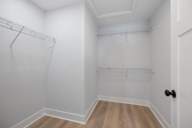 walk in closet with attic access and wood finished floors