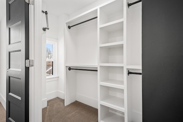 spacious closet featuring carpet floors and a barn door