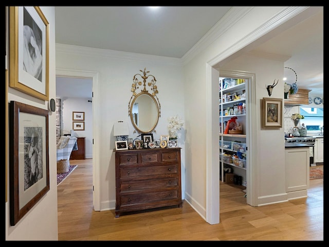 hallway featuring light wood-style floors and crown molding