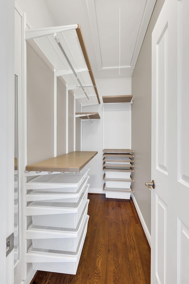 walk in closet with dark wood-type flooring