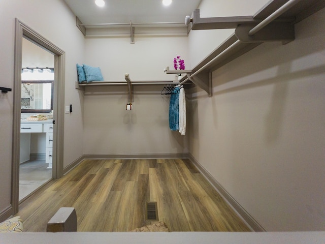 spacious closet featuring wood-type flooring