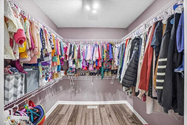 spacious closet with wood-type flooring