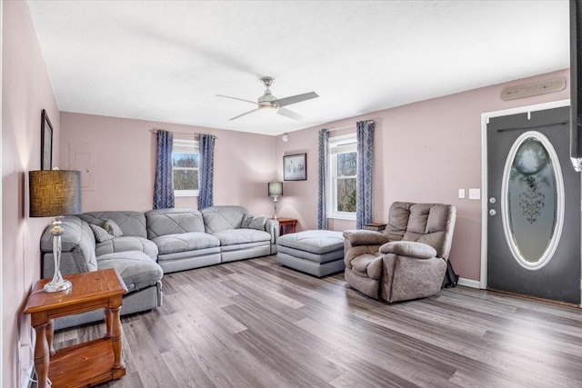 living room featuring a healthy amount of sunlight, ceiling fan, and light hardwood / wood-style flooring