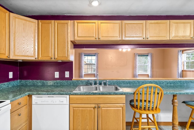 kitchen featuring white dishwasher and sink