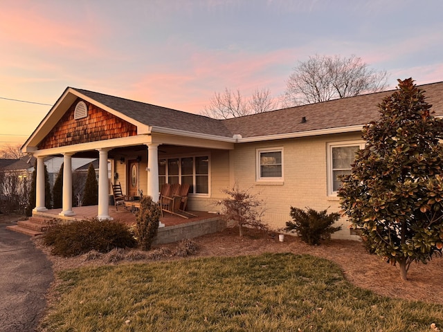 view of front of home with a patio area, a shingled roof, a lawn, and brick siding