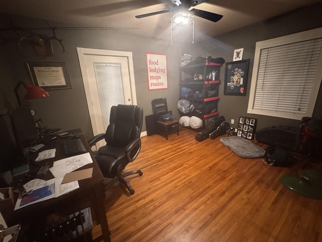 office featuring ceiling fan and hardwood / wood-style floors