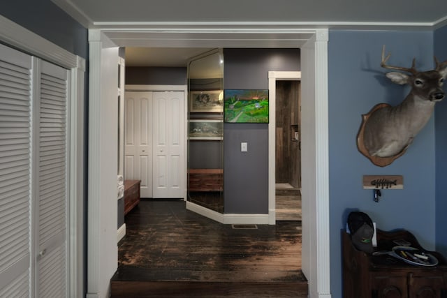 hallway featuring dark wood finished floors