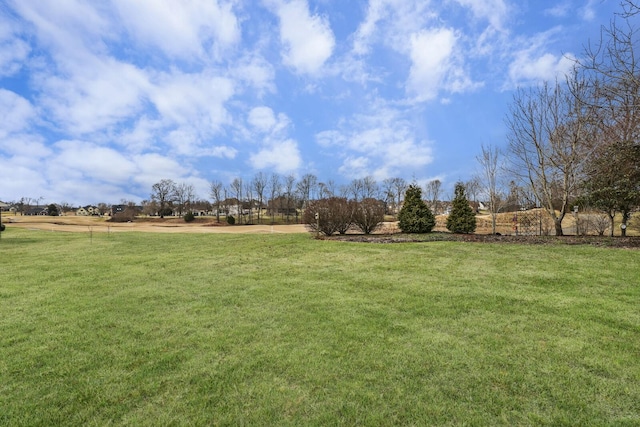 view of yard featuring a rural view