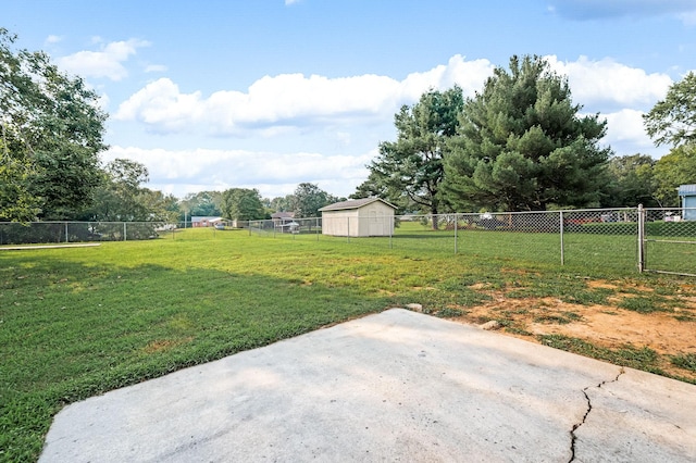 view of yard featuring a patio area